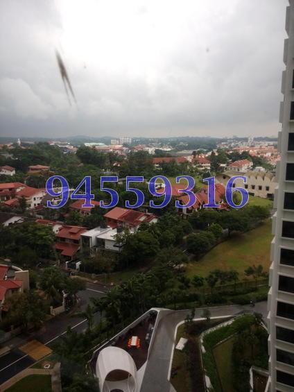 D'Leedon (D10), Condominium #116147632